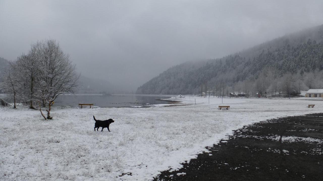 Gite Appartement Du Pays Des Lacs De Pierre Percee Celles-sur-Plaine Exteriér fotografie